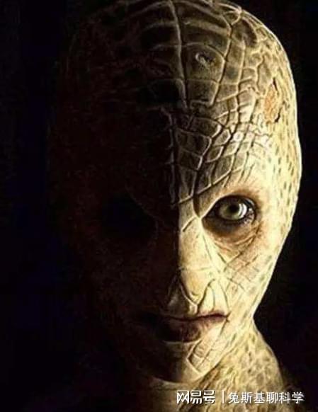 斯诺登的最新爆料是真的吗,揭秘真实与否的真相揭秘